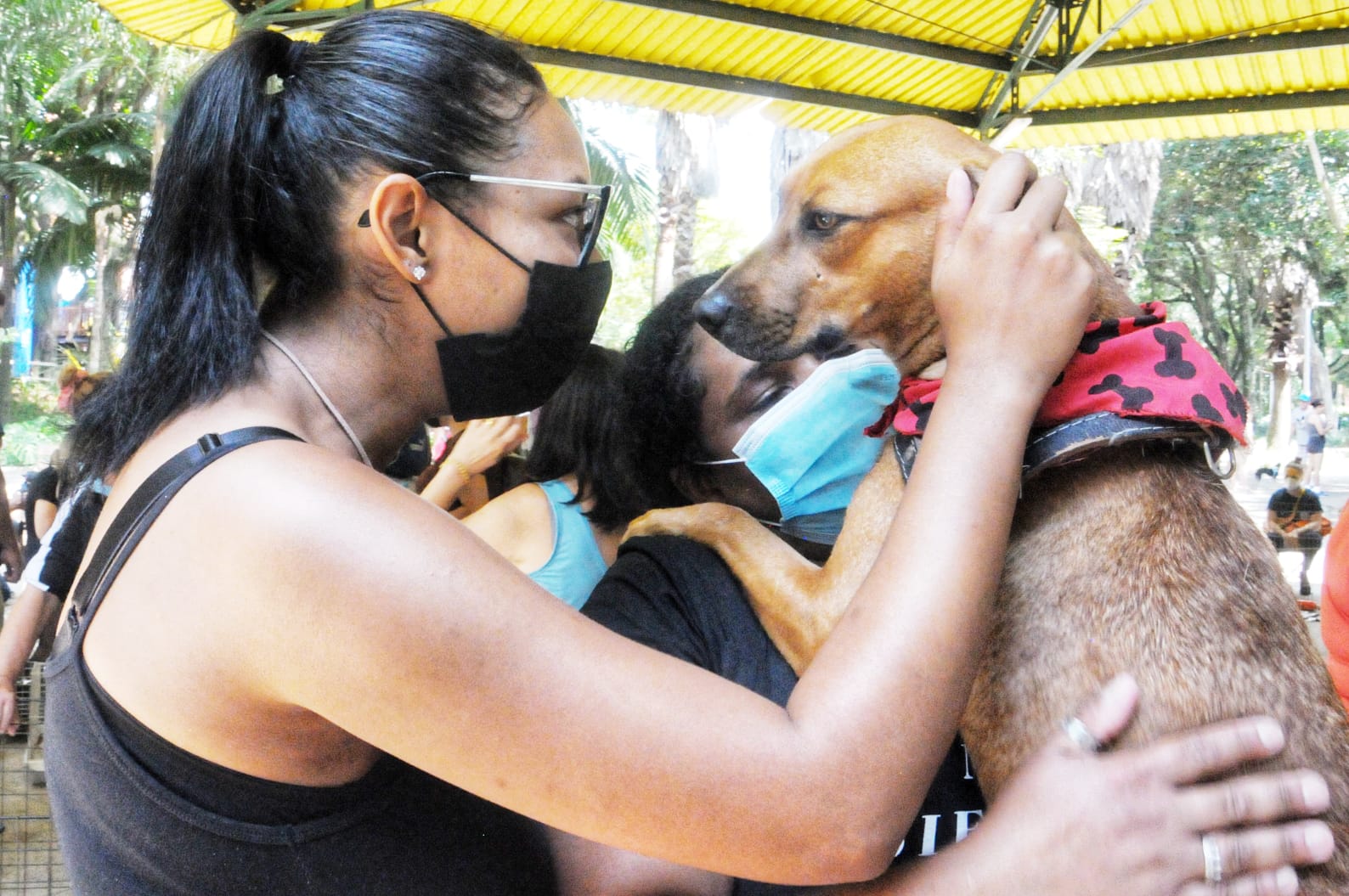 Feira de Adoção de animais movimenta andreenses no Parque Celso Daniel