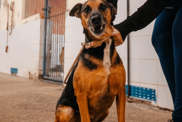 Fotos: Brenner Oliveira/PMSBC