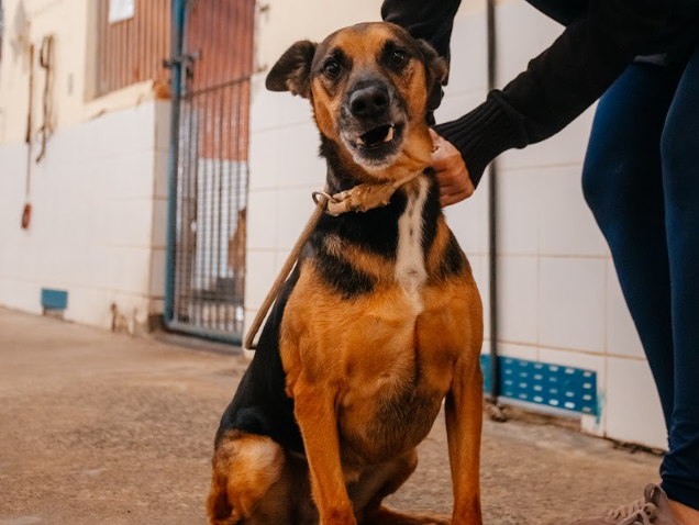 Fotos: Brenner Oliveira/PMSBC